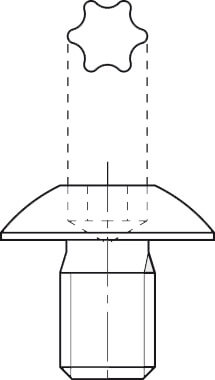Torx-bout M3,5 x 4,0 grote kop (TX15)