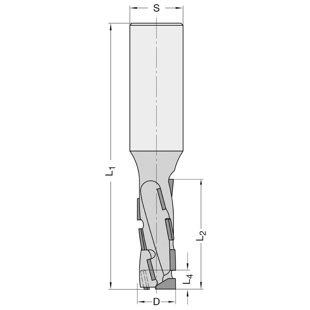 Diamant Groeffrees Ø 25 x 47 mm, TL=120 mm, S=25 mm, Z=2, DP