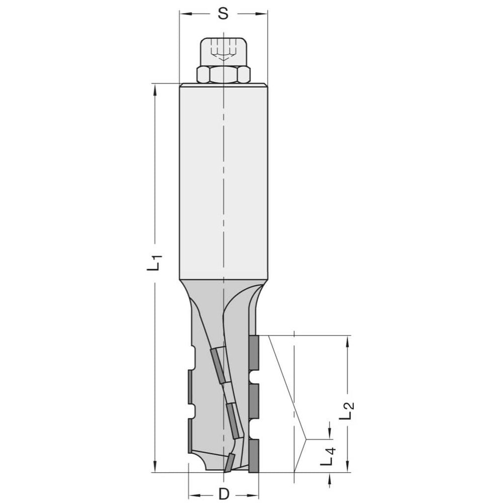 Diamant Groeffrees Ø 18 x 53 mm, TL=120 mm, S=25 mm, Z=2, DP
