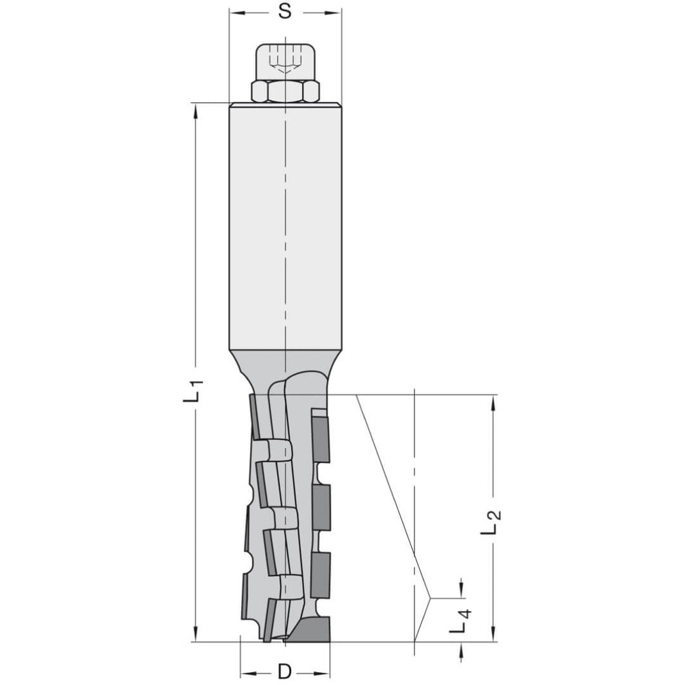Diamant Groeffrees Ø 20 x 55 mm, TL=120 mm, S=25 mm, Z=2, DP