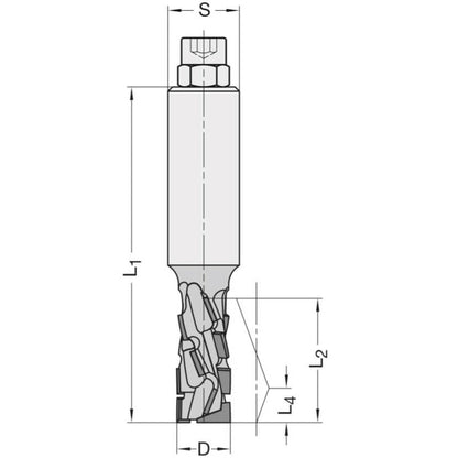 Diamant Groeffrees Ø 20 x 42 mm, TL=110 mm, S=25 mm, Z=2+2, DP