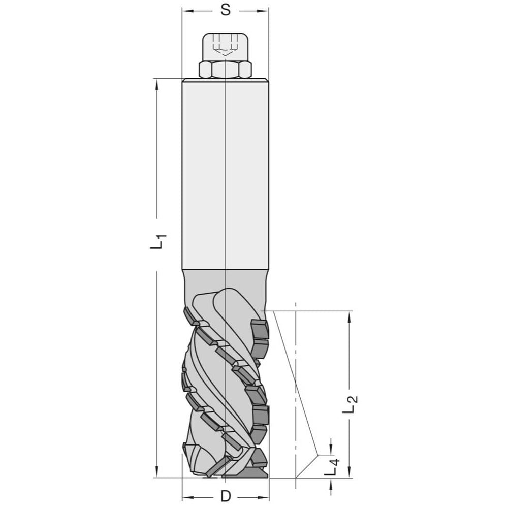 Diamant Groeffrees Ø 25 x 48 mm, TL=115 mm, S=25 mm, Z=2, DP