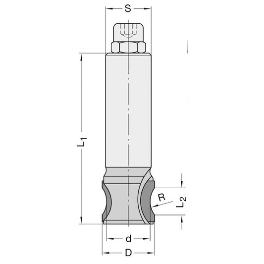 Diamant Afrondfrees R=25 mm, L2=22,2 mm, TL=95 mm, S=20 mm, Z=2, DP