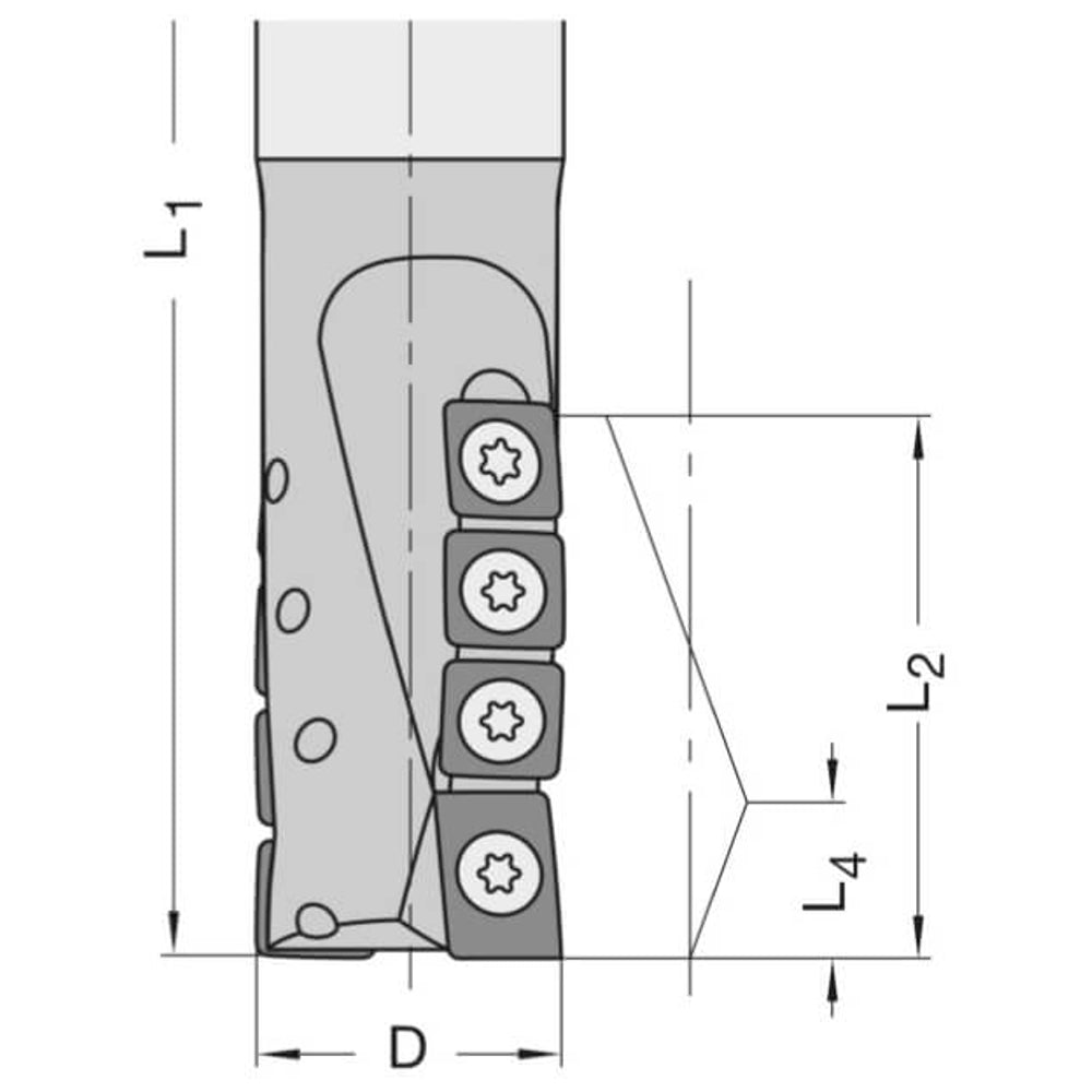 Diamant Schrobfrees Ø 25 x 40 mm, TL=120 mm, S=25 mm, Z=2, DP