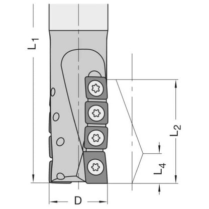 Diamant Schrobfrees Ø 25 x 40 mm, TL=120 mm, S=25 mm, Z=2, DP