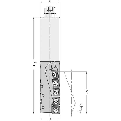 Diamant Schrobfrees Ø 25 x 54 mm, TL=120 mm, S=25 mm, Z=2, DP