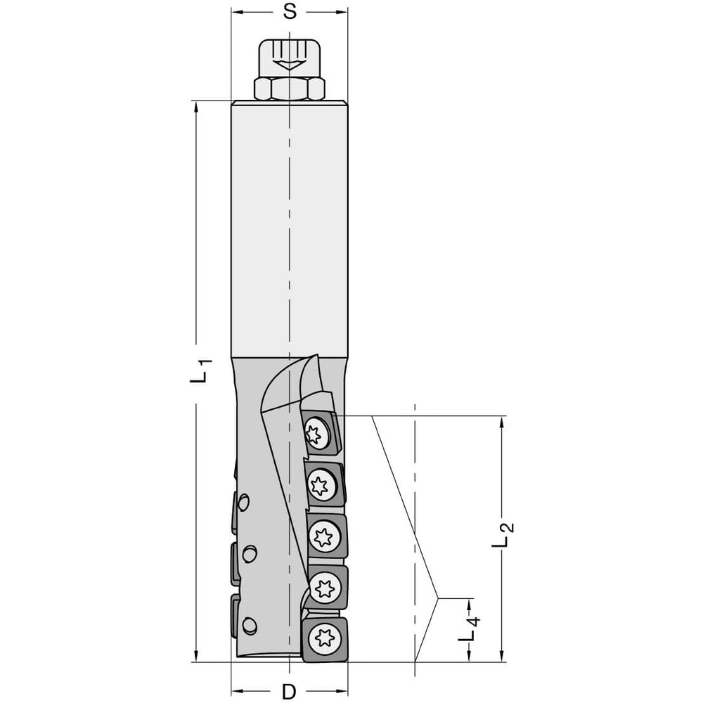 Diamant Schrobfrees Ø 25 x 40 mm, TL=120 mm, S=25 mm, Z=2, DP