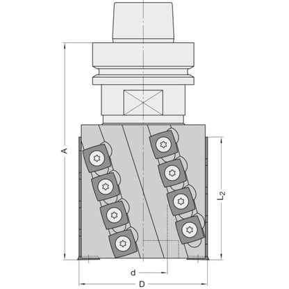 Keermes Spiraalmessenkop Ø 80 x 30 mm in HSK opname, Z=2+2+V2, HW