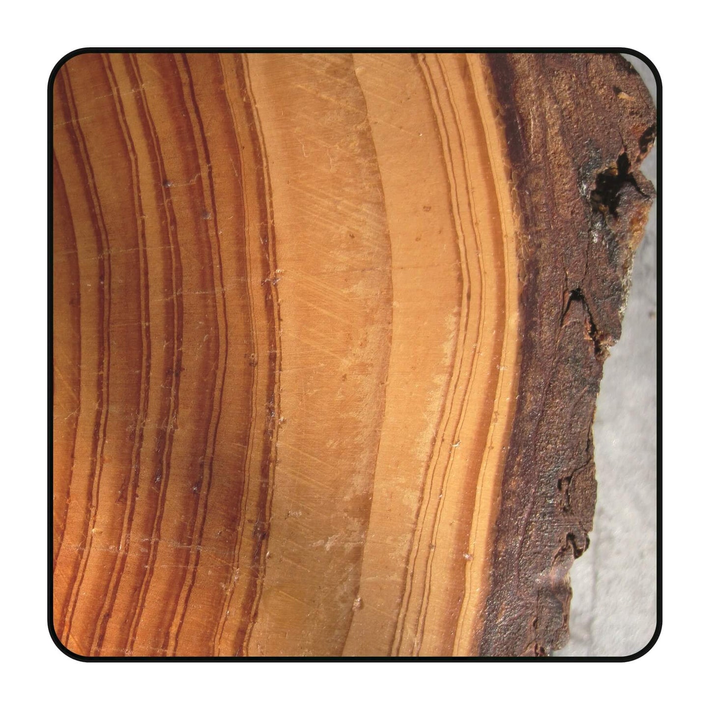 Zaagblad Ø 280 mm, asgat 30 mm, B=3,20 mm, Z=80 TF Neg., HW