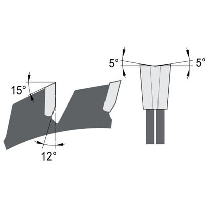 Voorritszaagblad Ø 100 mm, asgat 22 mm, B=2,8-3,6 mm, Z=2×12 Wisseltand, HW